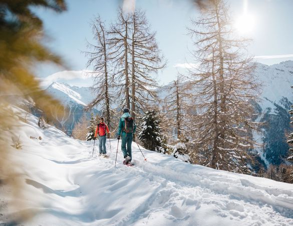 -bp-490734-c-benjamin-pfitscher