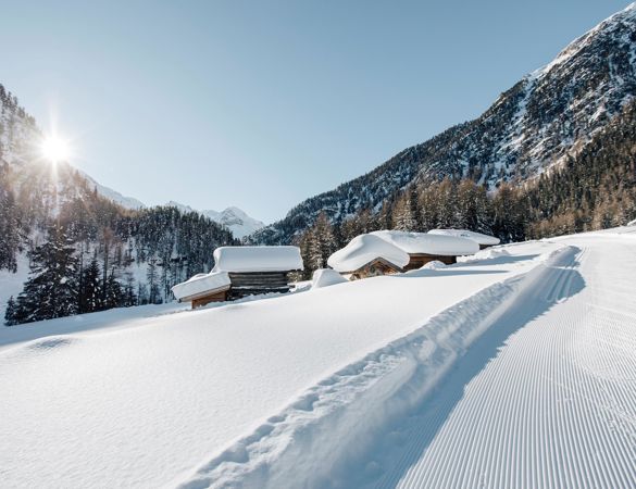 -bp-299204-benjamin-pfitscher